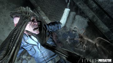 Immagine -11 del gioco Aliens vs Predator per Xbox 360